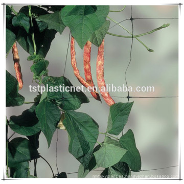 Plástico bi-orientado soporte de planta de jardín enrejado neto red de escalada de fruta de soporte